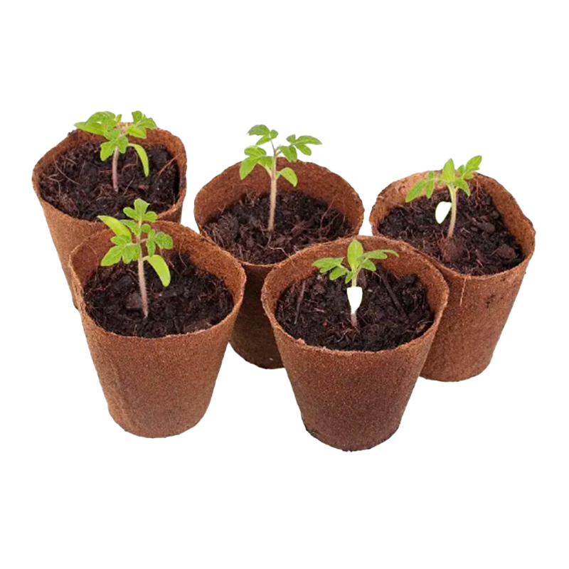 Pot starter benih
